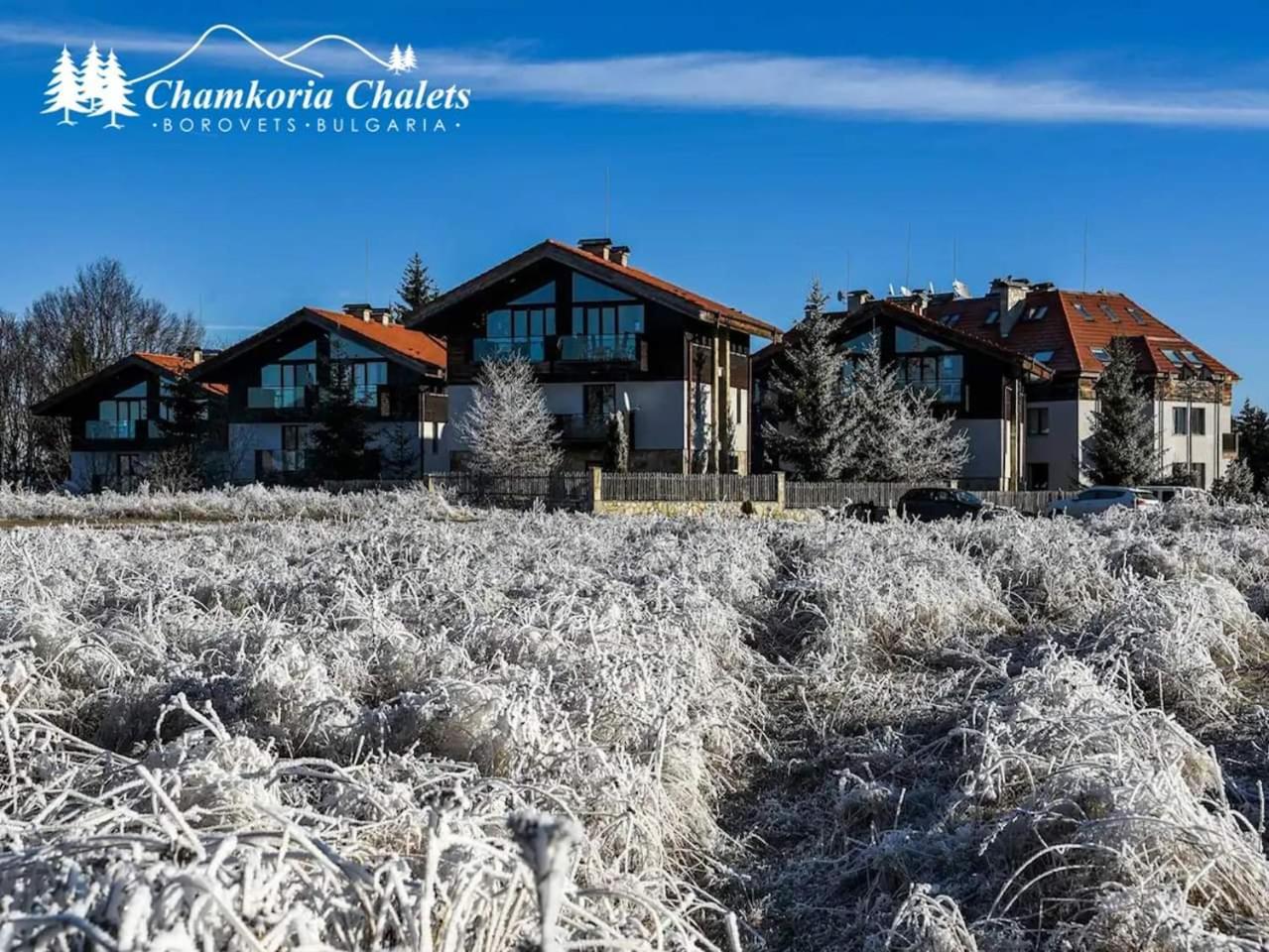 בורובץ Chamkoria Chalets מראה חיצוני תמונה
