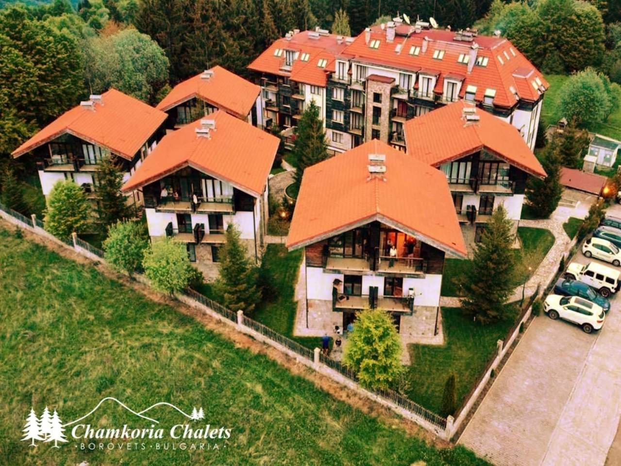 בורובץ Chamkoria Chalets מראה חיצוני תמונה